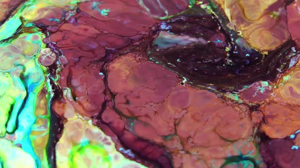 Paint Explosions Texture 77 alt