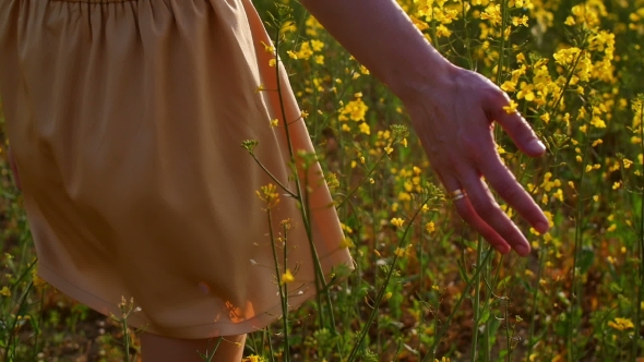 Woman's Hand Touching Flowers