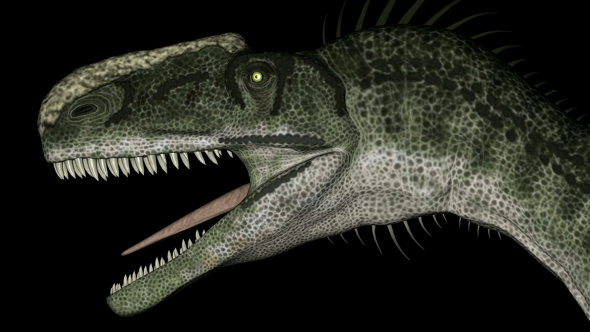 Monolophosaurus Dinosaur Head in Rotation on Black Background alt