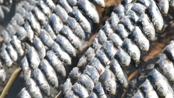 Sardines Fish Skewer Food at Fire