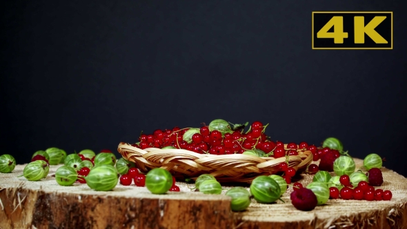 Fresh Ripe Red Currant In The Wicker Bowl On Wooden Background, Decorated Fresh Berries