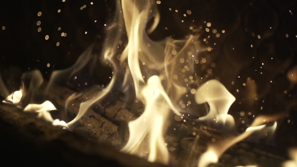 Burning Wood in the Fireplace