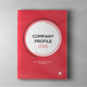 Company Profile - GraphicRiver Item for Sale