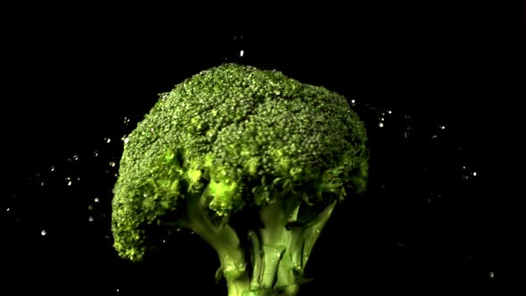 The Super Slow Motion of the Broccoli Rotates with Water Droplets