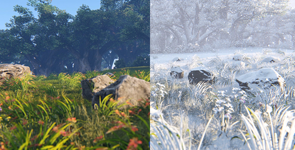 Forest Meadow in Summer And Winter