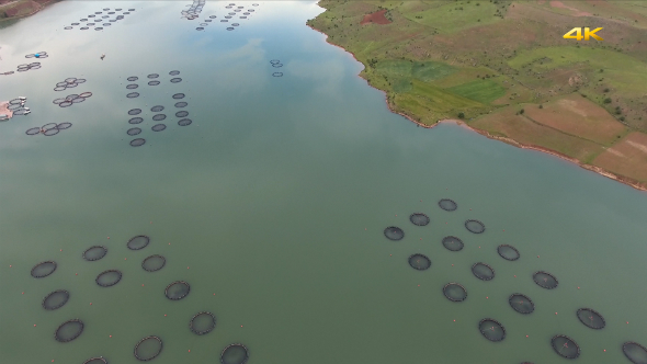 Fish Farming Cage