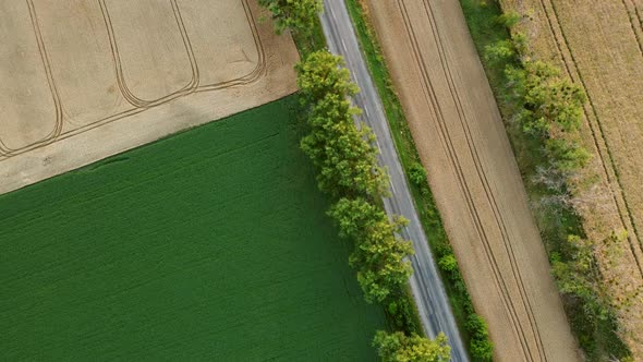 Aerial Drone View Flight Over Different Yellow Green Agricultural Fields