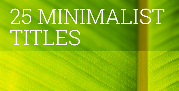 25 Minimalist Lower Thirds and Titles