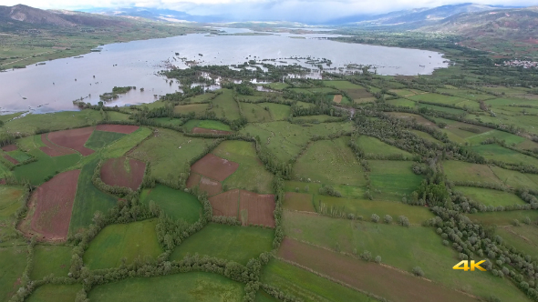 Aerial Lake and Poplar Trees