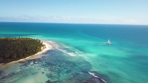 4k 24fps Palms Tree In The Saona Island With Drone Dominican Republic 7