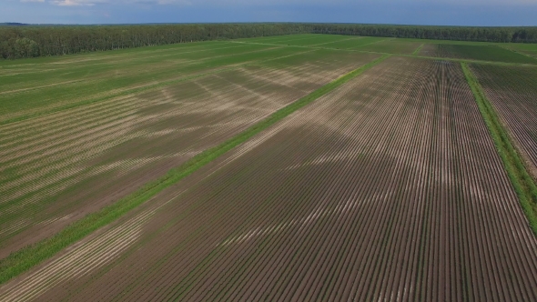 Aerial View Of Fertile Agricultural Field