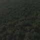 Aerial Above Forest Trees in the Mountains - VideoHive Item for Sale