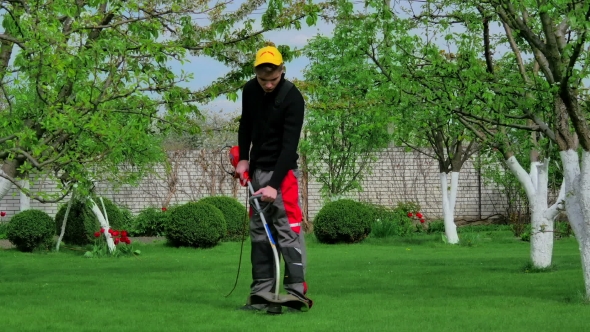 Gardener Cutting Grass With Trimmer