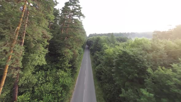 Smooth Fast Flight Close to Branches of Trees Along the Road That the Car is Driving on