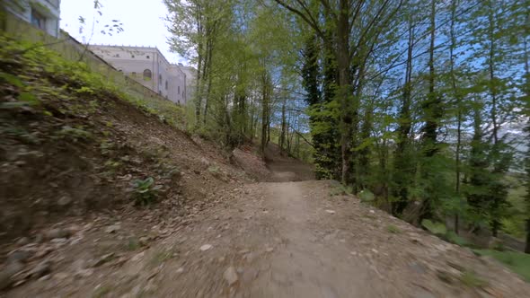 Extreme Bike Ground Road with Different Signs in Forest