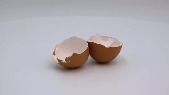 Eggshell