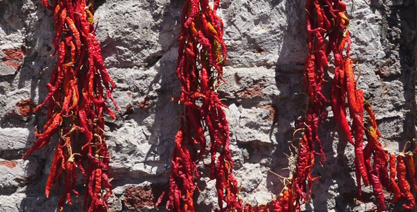 Red Hot Dry Pepper on Wall 2