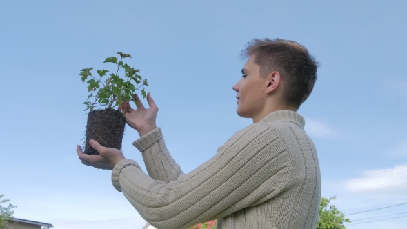 Young Guy Taking Care About Plant