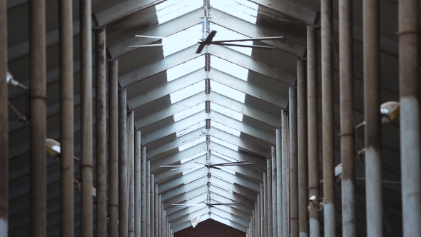 Ventilation System In The Barn alt