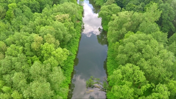 Aerial Shot Of Calm River Amidst Trees