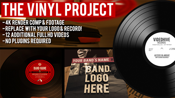 The Vinyl Record Project