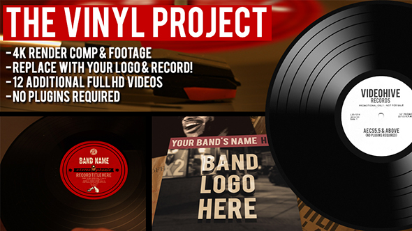 The Vinyl Record Project alt