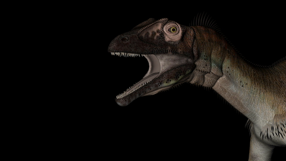 Head of Utahraptor Dinosaur in Rotation