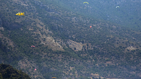 Paragliding Festival Crowds