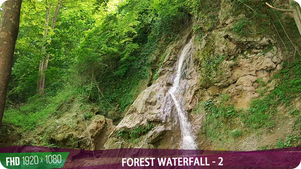 Forest Waterfall - 2