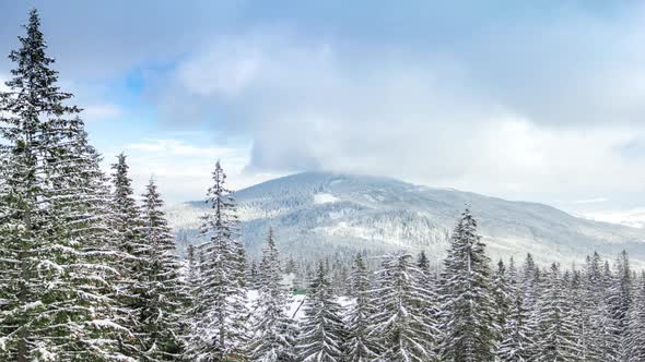 Beautiful Winter Landscape with Snow Covered Trees. Winter Mountains.