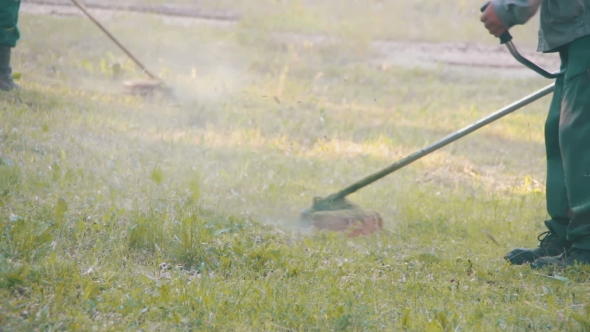 Gardener Mows The Lawn Mower Green Grass