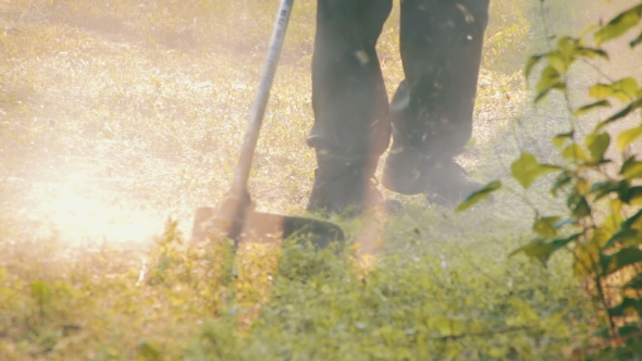 Gardener Mows The Lawn Mower Green Grass