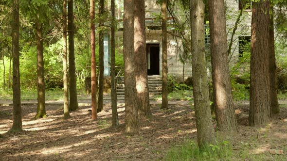 Abandoned House in the Forest