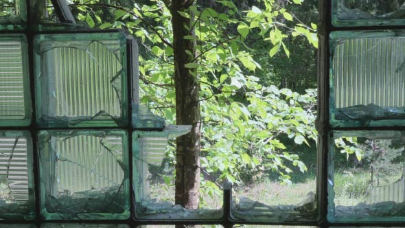 Broken Glass in the Window