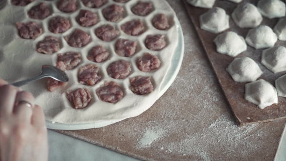 Homemade Dumplings Making