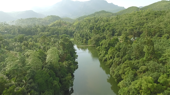 Following a Green Forest River