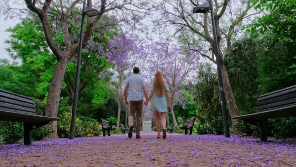 Beautiful Park with Blooming Purple Jacaranda