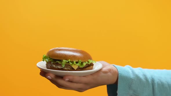 Female Hands Taking Fatty Cheeseburger Offered by Person, Fast Food Addiction