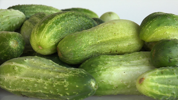 Cucumber