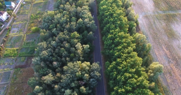 Passenger Cars On Countryside Road