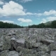 The Stone River In The Urals - VideoHive Item for Sale