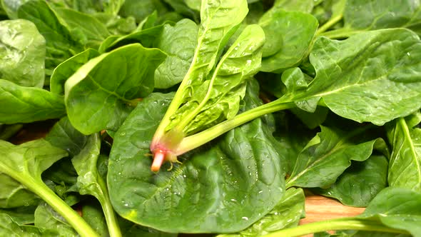 Spinach leaves on a wooden cutting board.