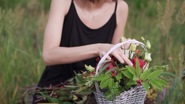 Creation Of a Flower Arrangement Of Roses.