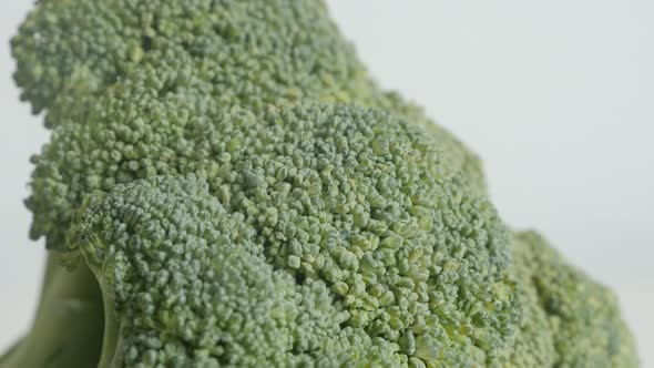 Organic  green broccoli close-up 4K 2160p 30fps UltraHD tilting footage - Healthy Brassica oleracea 