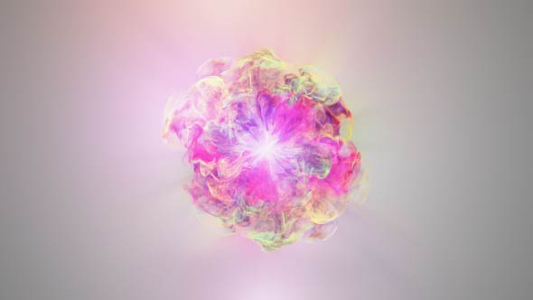 Colorful Flowers Logo Reveal alt