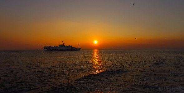 Sunset and Seagulls- Istanbul