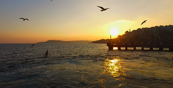 Istanbul Ferry and Seagulls