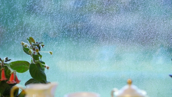Rain Outside Window - Pour a Cup Of Tea At Home