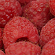 Raspberry - VideoHive Item for Sale