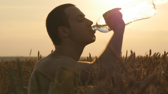 Young Man Drinking Water From a Plastic Bottle In Nature At Wheat Field. Guy Having Water Break At